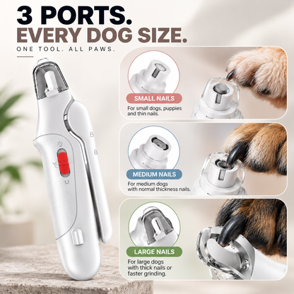 “PawCure | Pet Care Made Simple